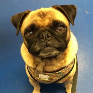 Meet your Posher, Kim